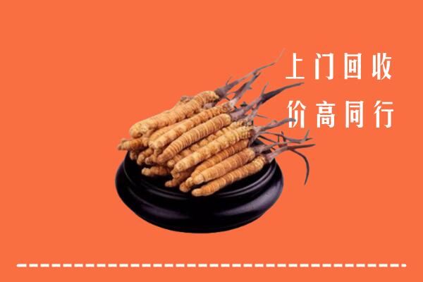 高价求购：嵊州回收散虫草