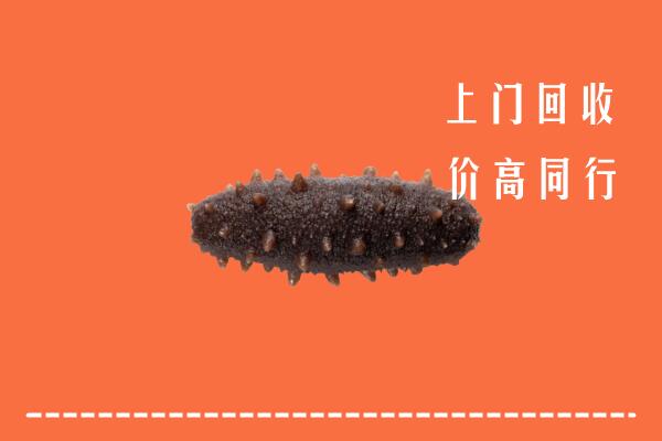 高价求购：嵊州回收海参