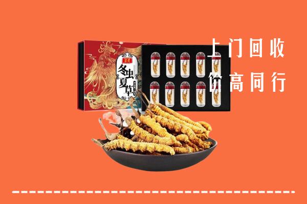 嵊州回收虫草